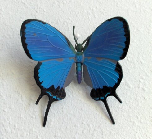 blauwe vlinder